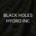 Black Holes Hydro Inc. logo